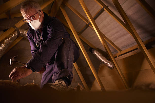 Best Insulation Maintenance and Repair in Tiltonsville, OH