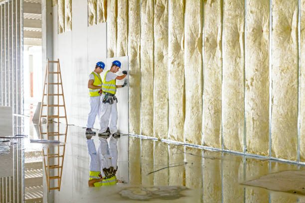 Best Types of Insulation in Tiltonsville, OH